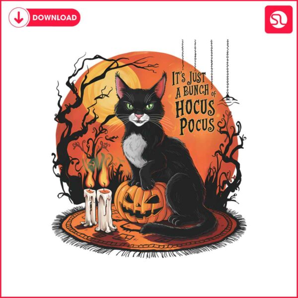 vintage-horror-cat-its-just-a-bunch-of-hocus-pocus-png