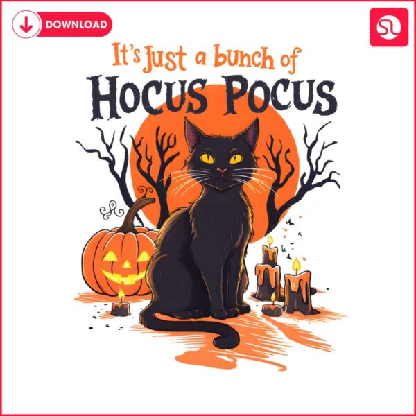 black-cat-its-just-a-bunch-of-hocus-pocus-png