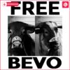 Download Free Bevo Longhorns Mascot PNG Image