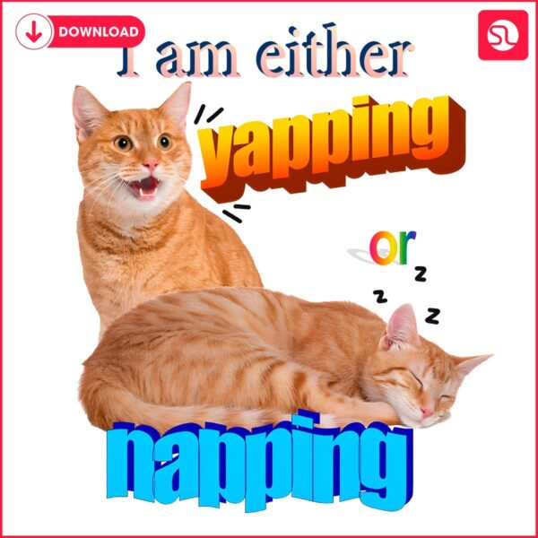 Yapping or Napping Hilarious Cat Meme PNG